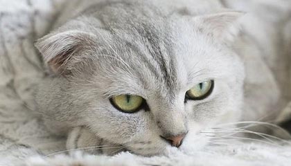 九游娱乐官网 (jiuyou)-赛季末价格：季后赛门票涨价的背后玄机，季后赛买票