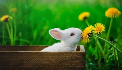 九游app官网下载-克劳利镇阵容深度提升，红魔低调冲刺附加赛，克劳利狂潮