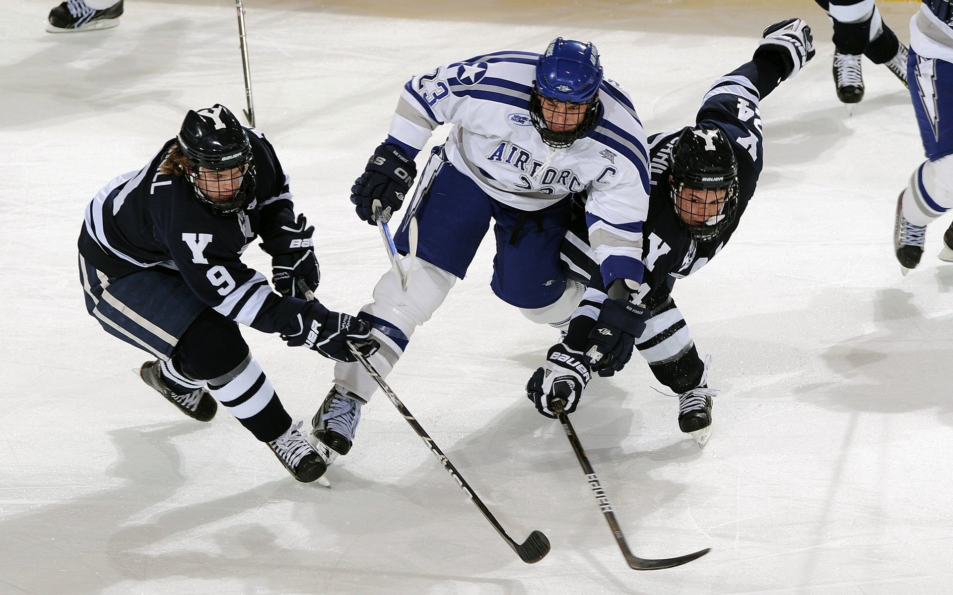 美洲队新赛季阵容公布,备战墨西哥甲级联赛,墨西哥美洲队徽